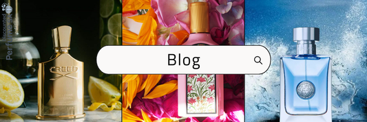 A Breath of Freshness: Your Spring Fragrance Guide 🌸🌿