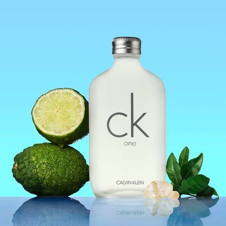 Calvin Klein CK One EDT 100ml (Unisex)