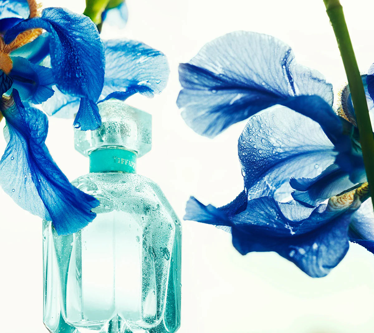 Tiffany & Co. Signature Elegance Collection | 4x30ml