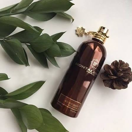 Montale Aoud Forest EDP 100ml