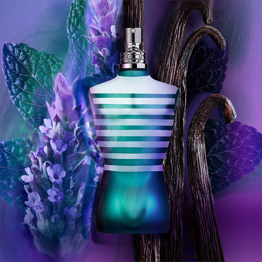 Jean Paul Gaultier Le Male EDT fragrance notes visual