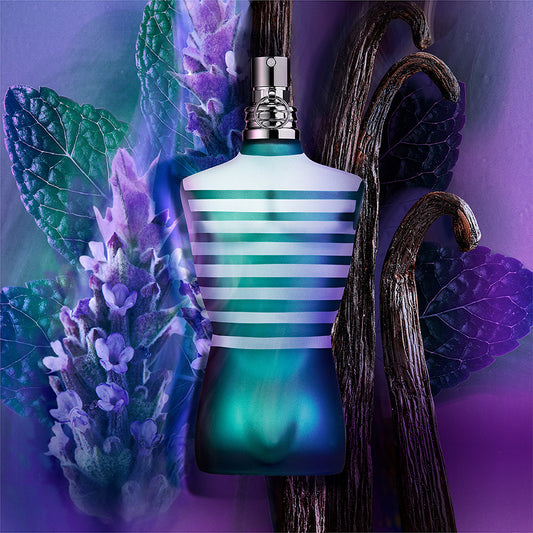 Jean Paul Gaultier Le Male EDT fragrance notes visual